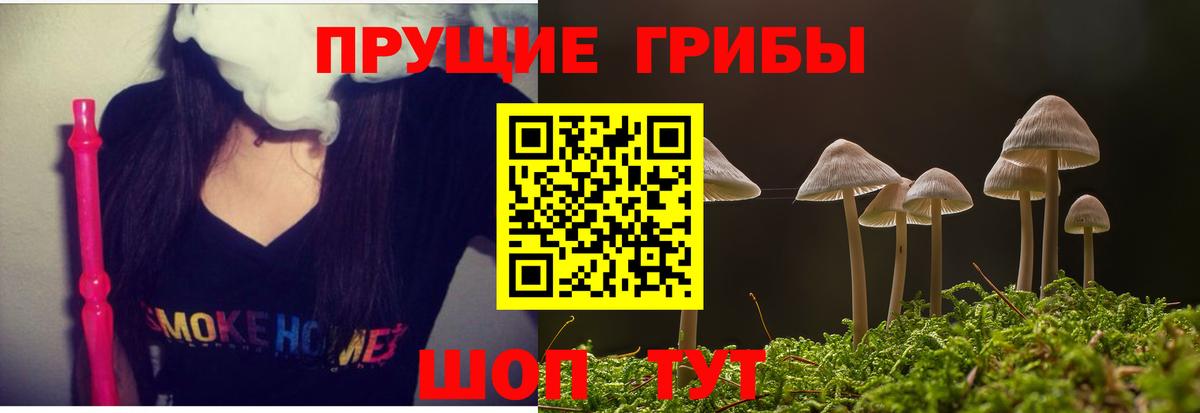 Галлюциногенные грибы мухоморы  Галлюциногенные грибы мухоморы  Вход с VPN  где можно купить наркотик  Новодвинск 